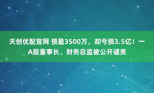 天创优配官网 预盈3500万，却亏损3.5亿！一A股董事长、财务总监被公开谴责