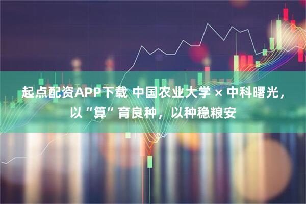 起点配资APP下载 中国农业大学 × 中科曙光，以“算”育良种，以种稳粮安