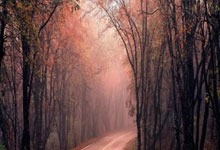 股票讨论平台哪个好:股票配资行业门户网站-A股三大指数回调：沪指跌0.45% 银行股逆市走强